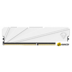 Оперативная память Netac Shadow S 16ГБ DDR4 3200 МГц NTSSD4P32SP-16W