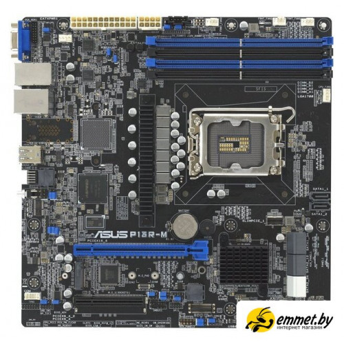 Материнская плата ASUS P13R-M