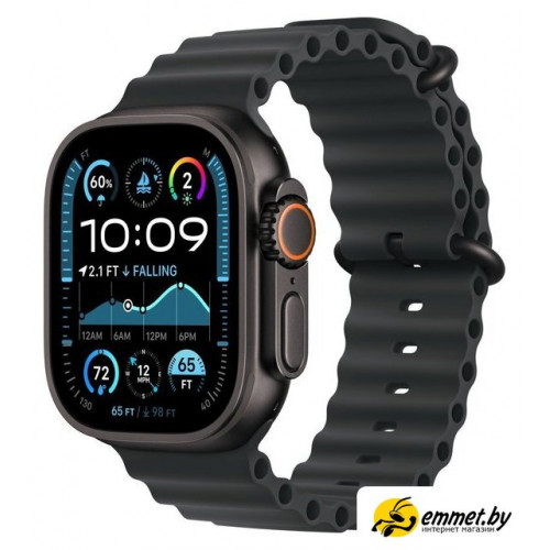 Умные часы Apple Watch Ultra 2 LTE 49 мм (титановый корпус, черный/черный, ремешо