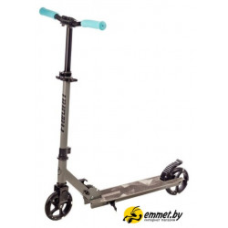 Двухколесный подростковый самокат Favorit 2015SG-GR
