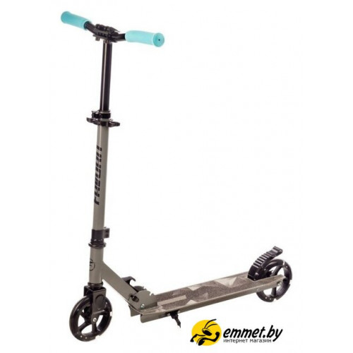Двухколесный подростковый самокат Favorit 2015SG-GR
