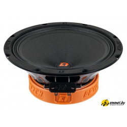 Среднечастотная АС DL Audio Raven 200 v2