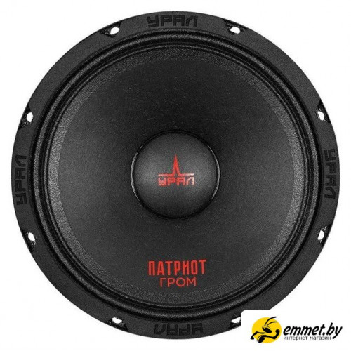 Среднечастотная АС Урал АС-ПТ 165.2 Гром