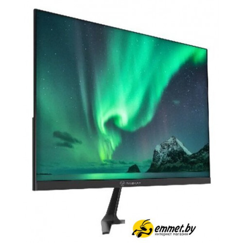 Игровой монитор Raskat I24F16D
