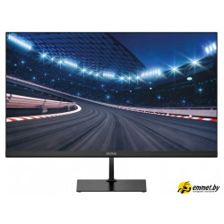 Игровой монитор Digma Overdrive 25P510F