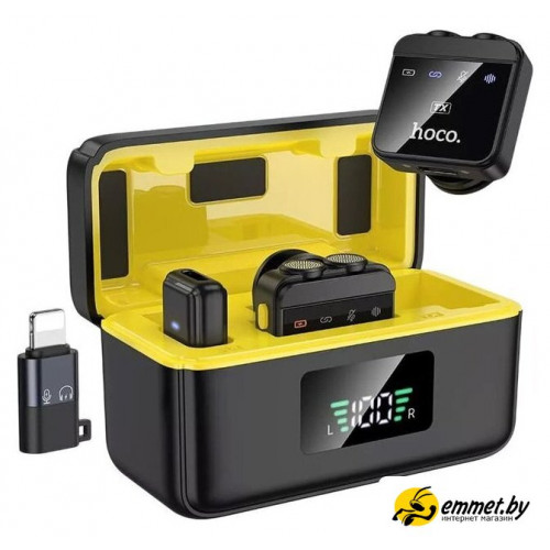 Радиосистема Hoco L17