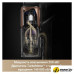 Пылесос Dreame Cordless Vacuum Cleaner Z20 Aqua Cycle (евровилка)