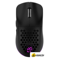 Игровая мышь Оклик 900GMW (черный)