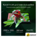 Планшет Digma Pro Pulse 4G 8GB/128GB (темно-зеленый) Планшет Digma Pro Pulse 4G 8GB/128GB (темно-зеленый)