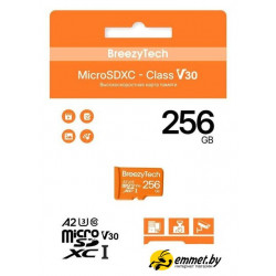 Карта памяти BreezyTech Ultra microSDXC Class 10/A2/V30 256GB (без адаптера)