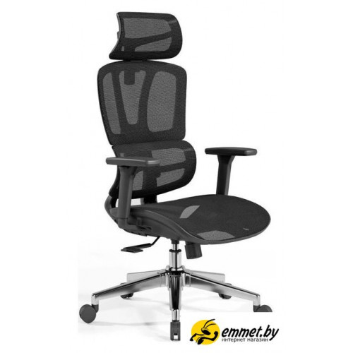 Офисное кресло SitUp Palma Black Chrome (сетка Black/Black)