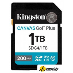 Карта памяти Kingston Canvas Go! Plus SDXC 1TB SDG4/1TB