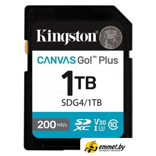 Карта памяти Kingston Canvas Go! Plus SDXC 1TB SDG4/1TB