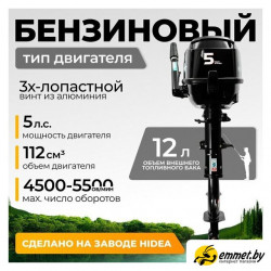 Лодочный мотор BarrakuDA HDF5HAS