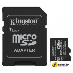 Карта памяти Kingston Canvas Select Plus microSDXC 256GB SDCS3/256GB (с адаптером)