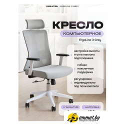 Офисное кресло Evolution ErgoLine 3 (серый)