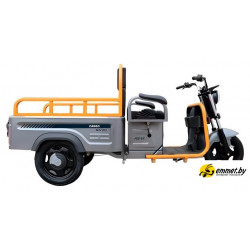 Грузовой электроскутер AVM Cargo mini 800