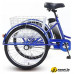 Электровелосипед AVM E-Alfa Trike 24 (синий)