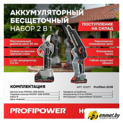 Наборы электроинструментов Profipower ProfiSet-2G20 E0217 (цепная пила, секатор, 2 АКБ)