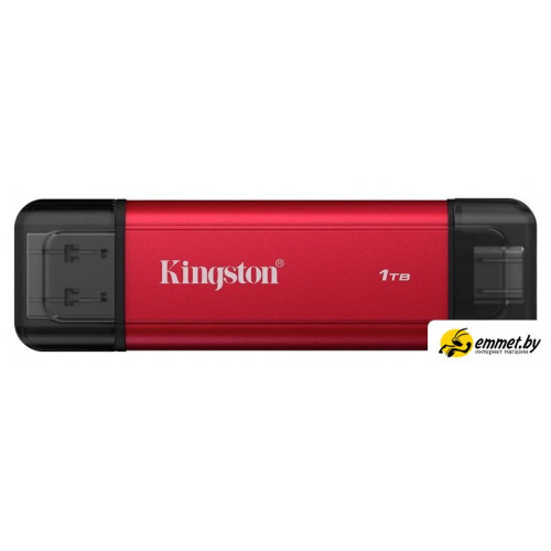 Внешний накопитель Kingston Dual Portable SSD SPSD/1TB