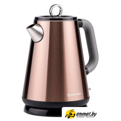 Электрический чайник Evolution KP17153 Steel