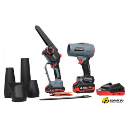 Наборы электроинструментов Profipower ProfiSet-2D20 (воздуходувка, цепная пила, 2 АКБ)