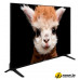 Телевизор Topdevice 50