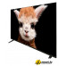 Телевизор Topdevice 50