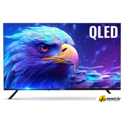 Телевизор CENTEK CT-TV0010-55 QLED