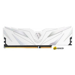 Оперативная память Netac Shadow II White 16ГБ DDR5 6000 МГц NTSWD5P60SP-16W