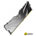 Оперативная память Netac Shadow II 16ГБ DDR5 6000 МГц NTSWD5P60SP-16K