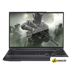 Игровой ноутбук Maibenben X-Treme Typhoon X16C X16C-i544550F44LG4E10