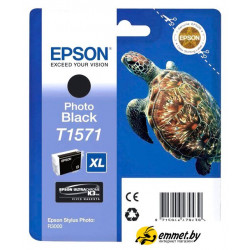 Картридж Epson C13T15714010