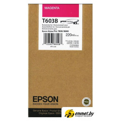 Картридж Epson C13T603B00