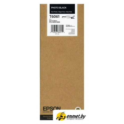 Картридж Epson C13T606100