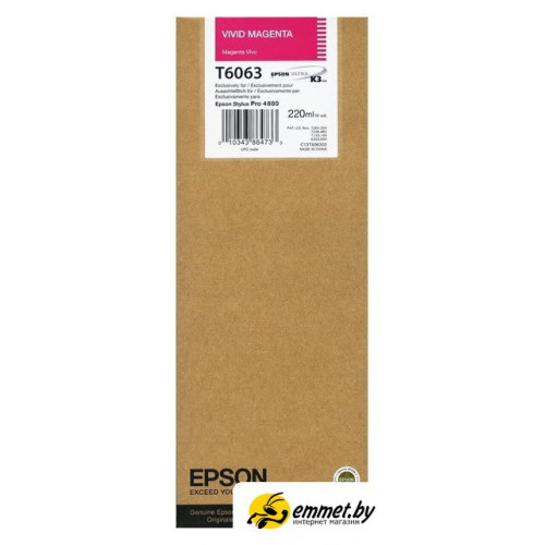 Картридж Epson C13T606300