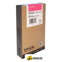 Картридж Epson C13T612300