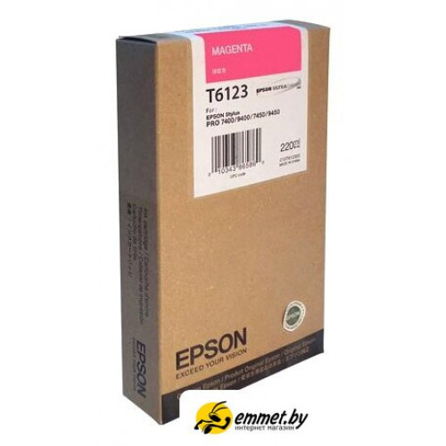 Картридж Epson C13T612300