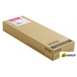 Картридж Epson C13T636300