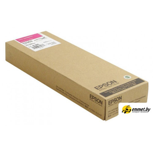 Картридж Epson C13T636300