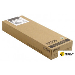 Картридж Epson C13T636700