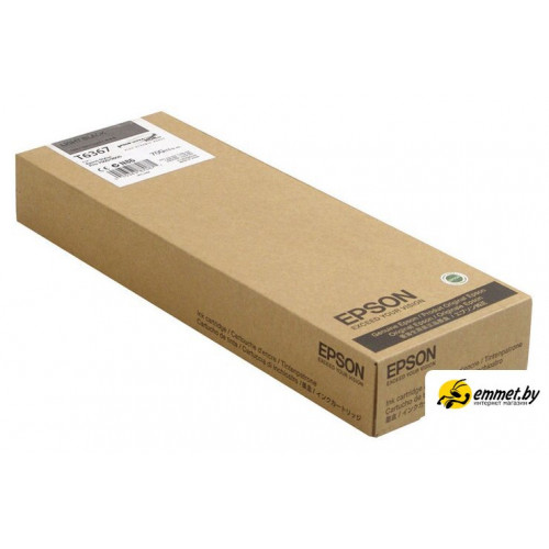 Картридж Epson C13T636700