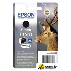 Картридж Epson C13T13014012