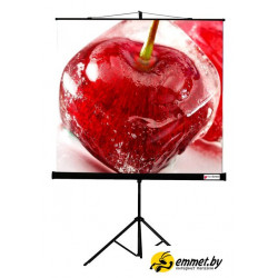Проекционный экран ViewScreen Clamp 160x160