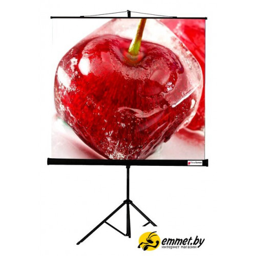 Проекционный экран ViewScreen Clamp 160x160
