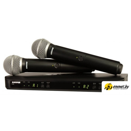 Радиосистема Shure BLX288E/PG58 M17