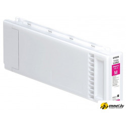 Картридж Epson C13T725300