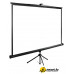 Проекционный экран CACTUS TriExpert 220x165 CS-PSTE-220х165-BK