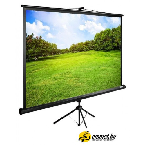 Проекционный экран CACTUS TriExpert 200x150 CS-PSTE-200х150-BK