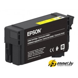 Картридж Epson C13T40D440